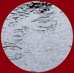 青空駐車での酸性雨による雨ジミ